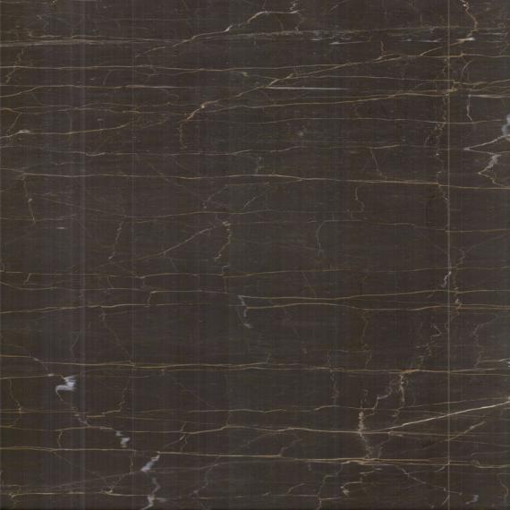 Lyxiga bruna gyllene kakelplattor inomhus