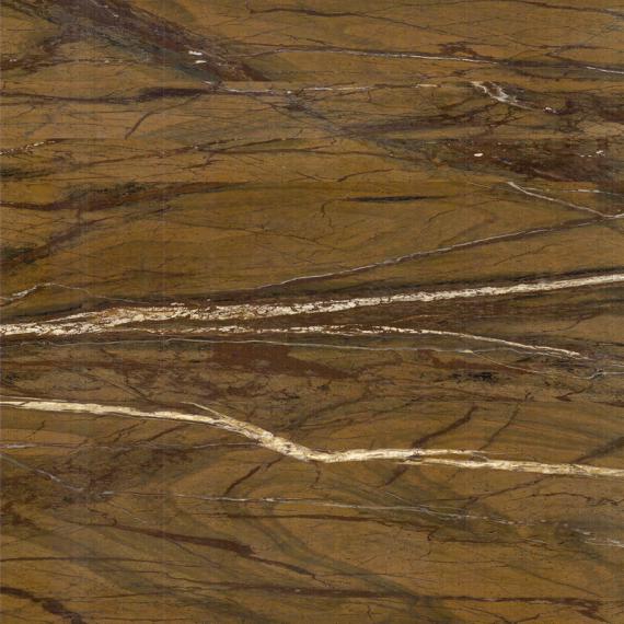 Gyllene ådrade lyxiga inomhusbyggnadsytor