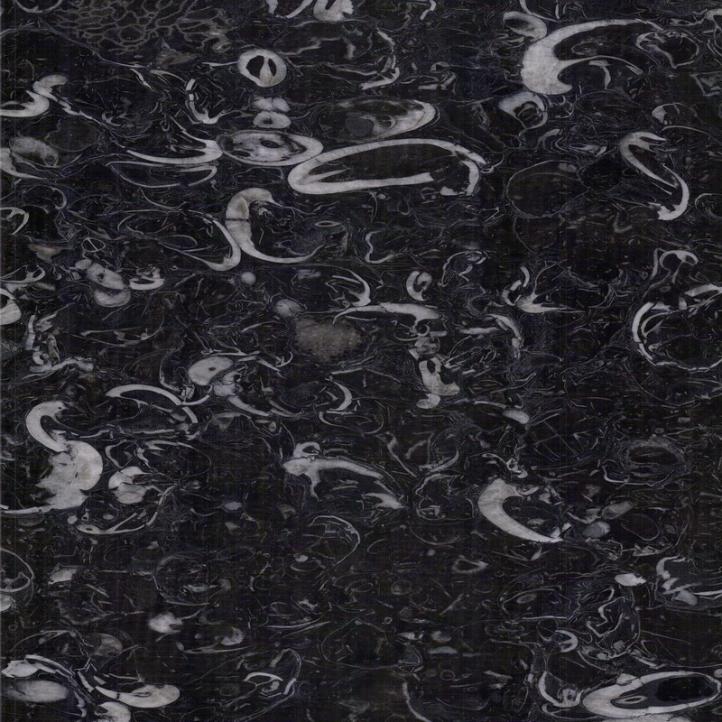 Exclusive fossiliferous marble for sophisticated buildings