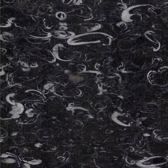 Exklusiv fossilhaltig marmor för sofistikerade byggnader