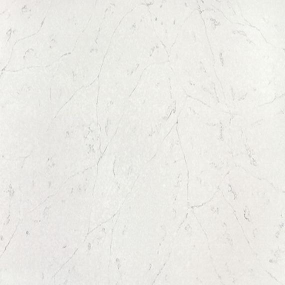 Kvarts med fossilhaltigt mönster och textur