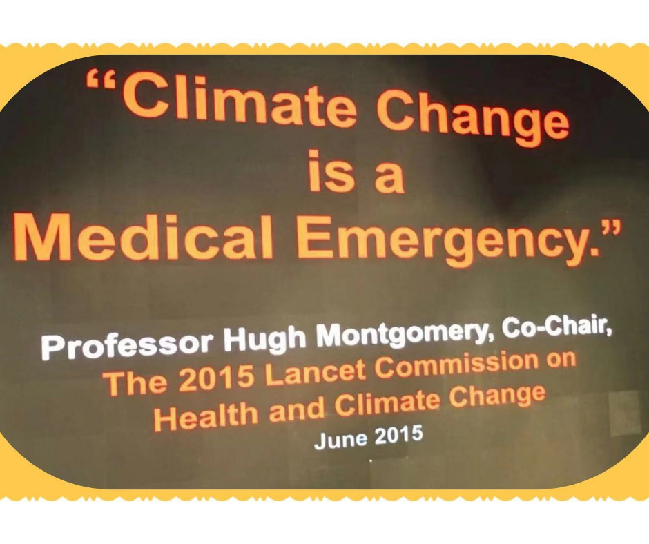 Angelas observationer. Klimatverklighet: Design för ett förändrat klimat och jordbruk – med stadsodling i åtanke. Modern arkitekturdesign.